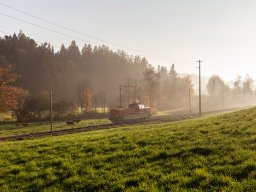 20181105_IMG_14382